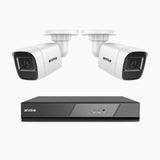 AK200 - 1080p 4 Channel Outdoor Wired Security CCTV System with 2 Cameras, Human & Vehicle Detection, 65 ft IR Night Vision, 4-in-1 Video Output, IP66 Weatherproof, Only Ship to The US