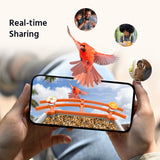 Smart Bird Feeder Camera, 1920 x 1080 Resolution, AI Recognition, Built-in Microphone, 2.4GHz WiFi Connection, Battery & Solar Powered, Cloud & Max. 128 GB Local Storage( Available in the United States only)