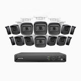 H300 - 2K 3MP 16 Channel 14 Cameras PoE Security System, EXIR 2.0 Night Vision, Motion Detection, H.265+, IP67 Waterproof