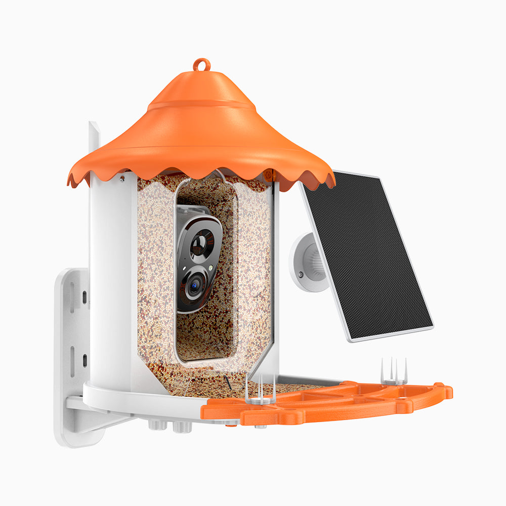 Shop Smart Bird Feeder Camera with Solar Panel, Wireless Camera